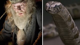 Harry Potter Theory When did Dumbledore learn to understand Parseltongue [upl. by Macdougall]