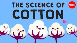 Why is cotton in everything  Michael R Stiff [upl. by Shaper]