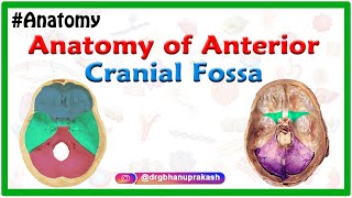 Anatomy of Anterior cranial Fossa [upl. by Notluf]