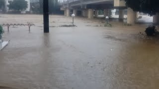 MARIKINA RIVER UPDATE [upl. by Hpsoj]