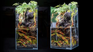 DIY Skyscraper Paludarium With Moss Waterfall [upl. by Goldston]