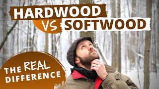 The Actual Difference Between Hardwood and Softwood [upl. by Herrmann]