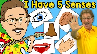 I Have Five Senses Jack Hartmann Senses Song [upl. by Ayidah194]