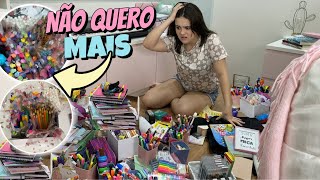 ARRUMANDO TODO MEU MATERIAL ESCOLAR DOEI MUITA COISA  CAROL TEIXEIRA [upl. by Henrik]