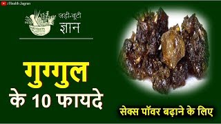 गुग्गुल के गजब के फायदे  Commiphora Wightii Uses in Hindi  Joint Pain Piles Weight Loss [upl. by Waechter452]