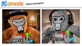 OMEGLE Trolling in Gorilla Tag [upl. by Ferneau]