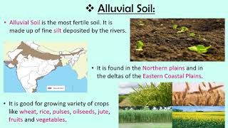 Soils of India CBSE SSTEVS Class 4 [upl. by Iahk]