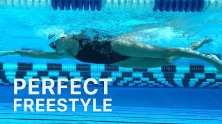 How To Swim Freestyle With Perfect Technique [upl. by Yhotmit440]