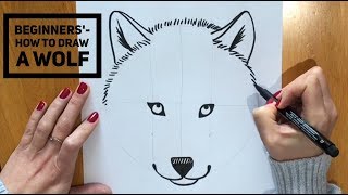 Beginners  How To Draw A Wolf [upl. by Joellyn490]