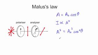 Malus law [upl. by Amarette774]