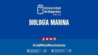 Biología Marina Universidad de Valparaíso [upl. by Schwinn]