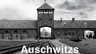 Reportage Auschwitz Camp De La Mort [upl. by Llertnom]