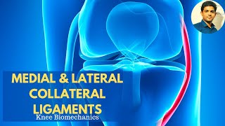 MEDIAL amp LATERAL COLLATERAL LIGAMENTS  Anatomy amp Biomechanics applied [upl. by Allesor637]