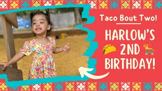 Harlow’s 2nd Birthday Fiesta 🪅 🌮 [upl. by Vogeley88]