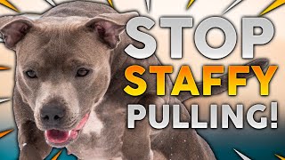 STAFFORDSHIRE BULL TERRIER TRAINING How To Stop Your Staffy From Pulling On Walks [upl. by Hannej]