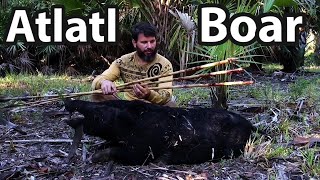 Boar Hunting with the Atlatl [upl. by Gerhardine802]