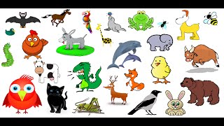 Animal Sounds  over 50 animals noises [upl. by Greenebaum]