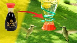 Easiest Cheapest Best DIY Hummingbird Feeder Ever from Soy Sauce [upl. by Arabrab137]