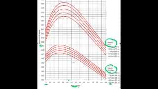 Asthma S2 Part 3 Peak Flow Readings [upl. by Renrag]