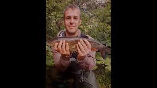 Lure fishing river Darwen [upl. by Suirauqram]