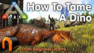 Magmasaur  Everything You Need to Know Ark Survival Evolved Genesis [upl. by Rellim]