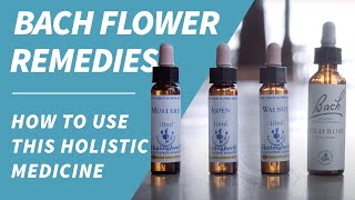 Bach Flower Remedies  How to use this holistic medicine for wellness [upl. by Lothair]