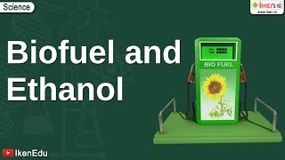 Biofuel and Ethanol  Class 10 Environmental Science  iKen [upl. by Natalya]