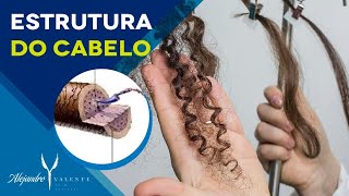 Estrutura do cabelo  Cutícula Córtex e medula Entenda [upl. by Shaun]