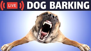 Dog Barking Sound  Dogs Barking Live Bark [upl. by Inerney]