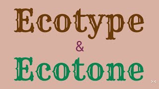 Ecotype amp Ecotone [upl. by Vyner]