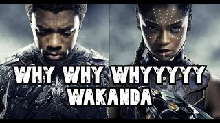 Wakanda Forever  This Film Makes No Sense [upl. by Adilem]