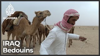 Iraqs Bedouins under climate change threat [upl. by Lundgren]