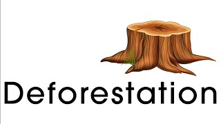 Deforestation Educational Environmental Video [upl. by Aihsotal]