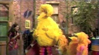 Sesame Street  Leelas Sesame Street video [upl. by Pooley]