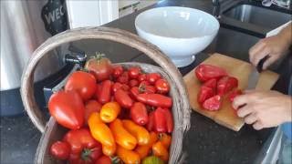 hoe passata  of tomatensaus zelf maken [upl. by Hsihsa962]