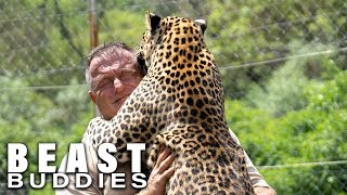 The Man Who Lives With Leopards  BEAST BUDDIES [upl. by Adnoved]