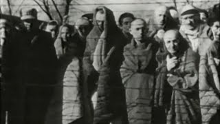 Inside Auschwitz Holocausts horrific impact [upl. by Kursh]