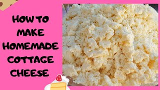 How to make tasty homemade cottage cheese easy recipe [upl. by Anayek103]