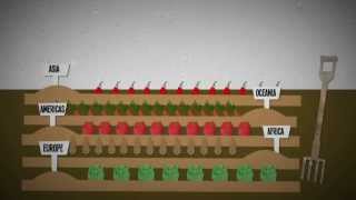 What is food insecurity An explanation [upl. by Akirat]