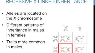 Pedigree Analysis  Part 1 Autosomal Inheritance Patterns [upl. by Florri]