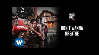 Kodak Black  Dont Wanna Breathe Official Audio [upl. by Phillips46]