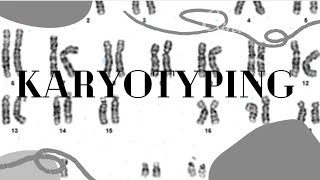 Karyotyping [upl. by Yliah]