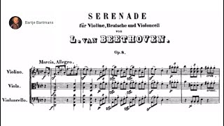 Beethoven  Serenade in D major Op 8 1797 [upl. by Greenfield797]