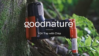 Goodnature A24 Trap With Chirp [upl. by Harrat]