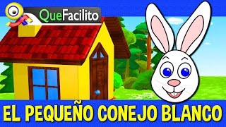 Audio Cuento El pequeño conejo Blanco [upl. by Persons]